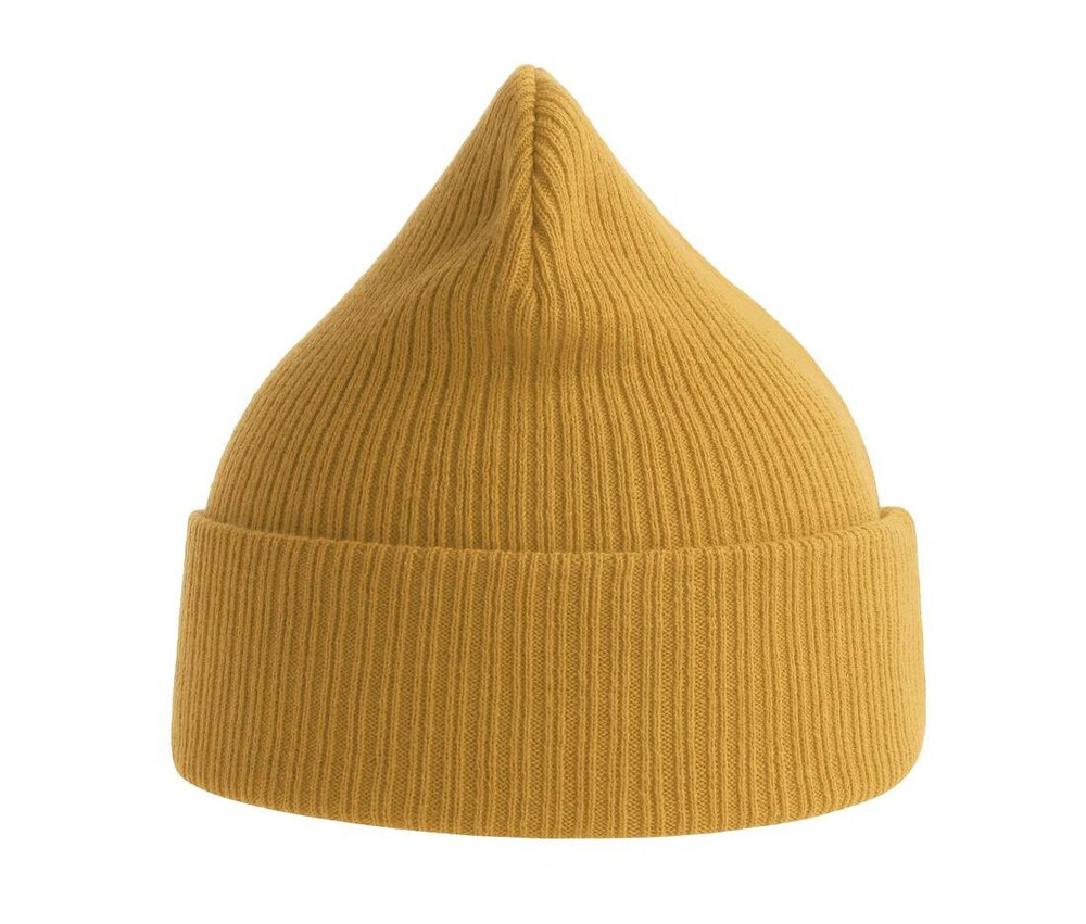 ATLANTIS HEADWEAR AT230 - Organic cotton beanie