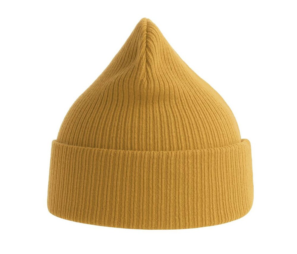 ATLANTIS HEADWEAR AT230 - Organic cotton beanie